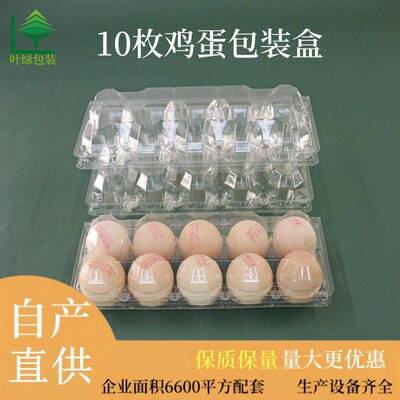 包蛋装鸡蛋盒1透鸡蛋盒100个装pet明吸塑鸡蛋盒一次性塑料鸡托厂