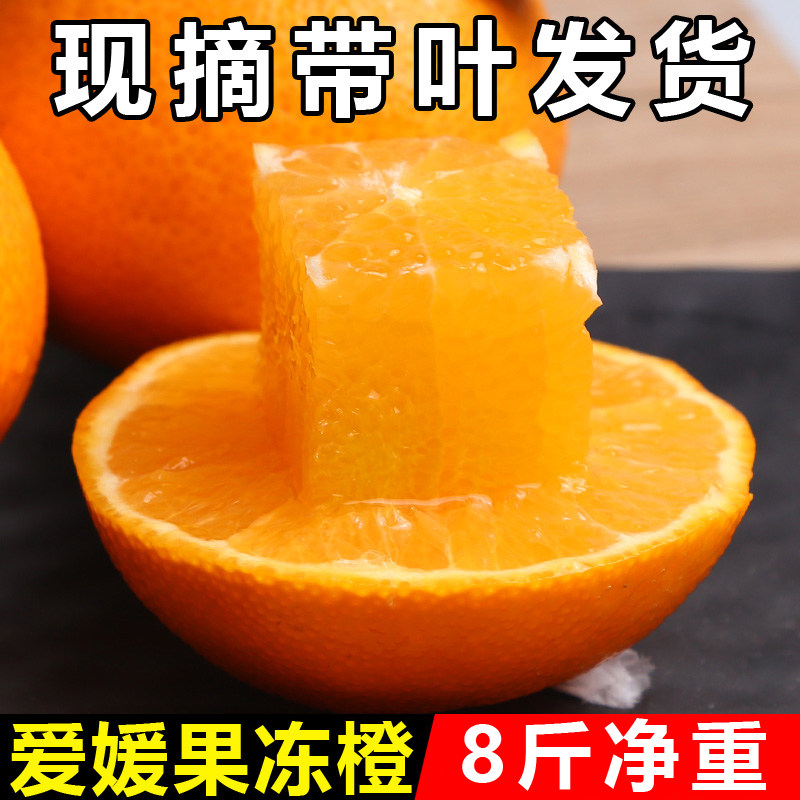 【带叶发货】四川爱媛果冻橙38号新鲜包邮8斤当季水果甜橙子大果,水产肉类/新鲜蔬果/熟食,橙,淘宝优惠券,粉丝福利购,淘宝优惠卷