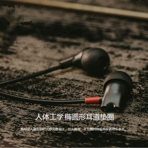 IE800S发烧级DIY入耳式HiFi监听