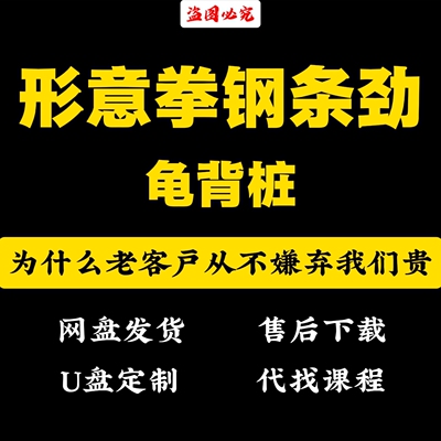 形意拳刚条劲龟背开合桩桩功孙禄堂绝学不传心法