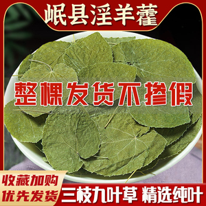 甘肃小叶淫羊藿中药材正品官方旗舰店泡酒水喝三枝九叶草淫洋藿