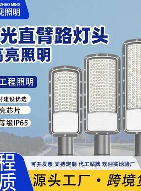 led路灯头100w 高亮节能户外防水高亮市政路道电线杆挑臂路灯200W