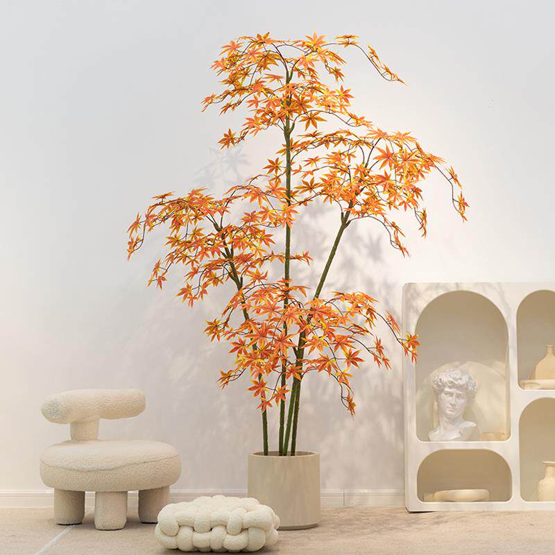 植物枫树红枫假树大型室内盆栽家居客厅橱窗造景装饰落地绿植