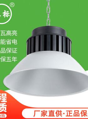 亚标LED压铸铝工矿灯 厂房雷工厂灯仓库车间士吊灯100W 200W照明