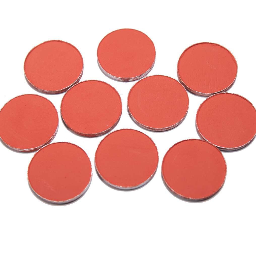 原厂直发 TENZ 全自动全伺服  下压式压饼机