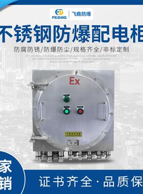 不锈钢IIC防爆配电柜钢板控制箱挂式不锈钢防爆配电箱