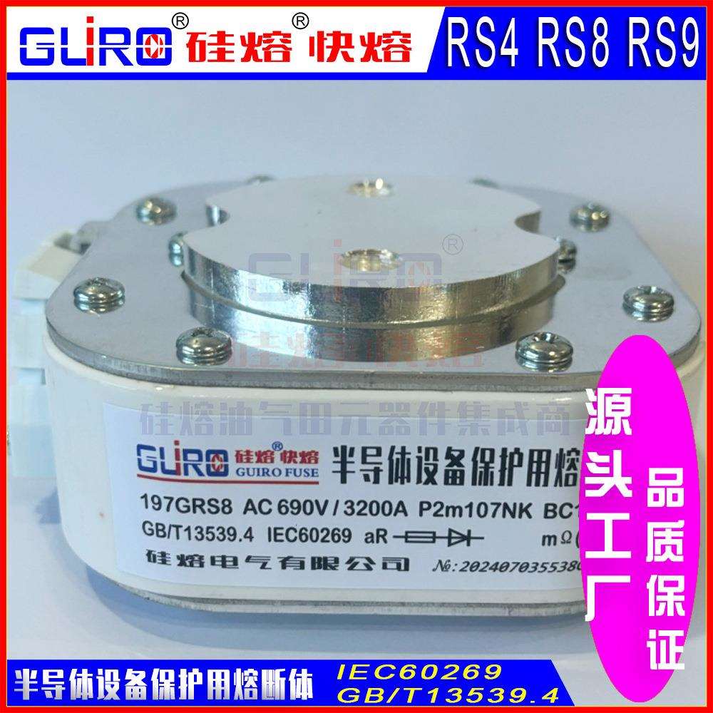 快速熔断器RS8 500V1800A/2400A/2500A/2800A/3000A P1m106N