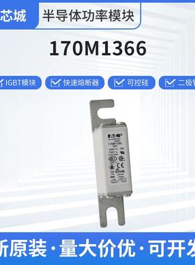 巴斯曼170M1366人防熔断器现货