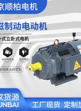 YEJ电磁制动电机2级0.18w45千瓦化工机械电机380V三相异步电动机