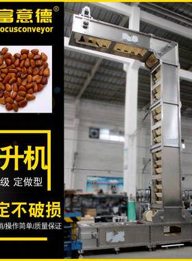 橡胶链条提升机坚果食品提升机颗粒上料钟摆式T型提升机