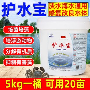 护水宝水产e专用培藻培菌培虫培浮游生物稳定水质肥水剂淡海水通