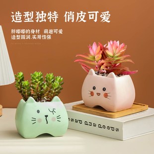 卡通表情猫多肉花盆彩色手绘桌面绿植陶瓷摆P件小号家用肉肉盆栽
