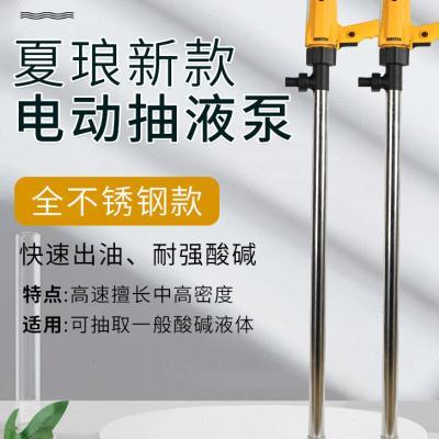 12v大功率手提式电动抽油泵220V插桶柴油泵器24v齿轮防爆抽水液泵