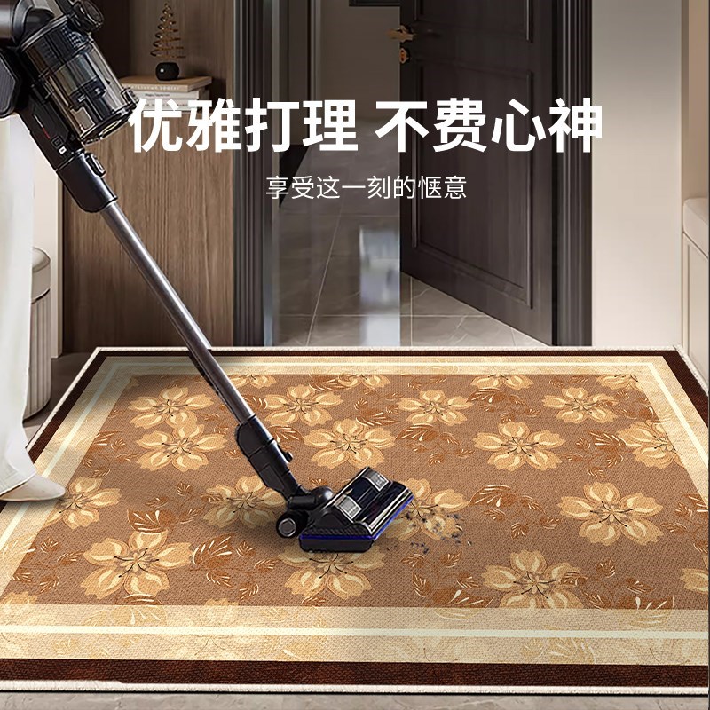2025新款入户门地垫r进门入户脚垫玄关门口门垫新中X式地毯可定制