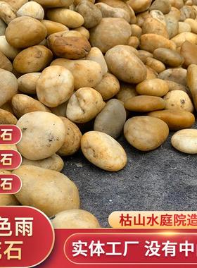 公园装饰用黄色鹅卵石水洗石雨花石园林景观水磨园林景观石