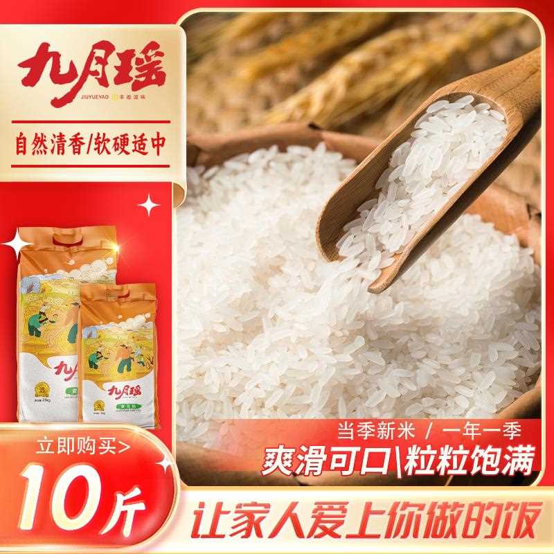 新疆包邮九月瑶黄花粘5kg当季鲜大米10斤软香丝苗米煲仔饭猫牙油