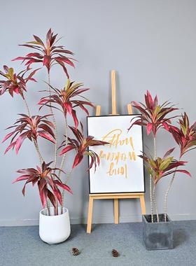 新款仿真西铁红色绿AQT色朱蕉假花居装饰软家装地工程样板间落植