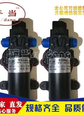 sa/dng电动隔泵泵QXT压增泵小型洗车水泵直流12v60w抽水a泵膜SDP-