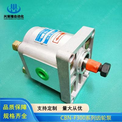 齿轮油泵CBN-F3C04-FPCBN1-F306-CBN-F304CPCBN-F308-CFPCBN-F30-