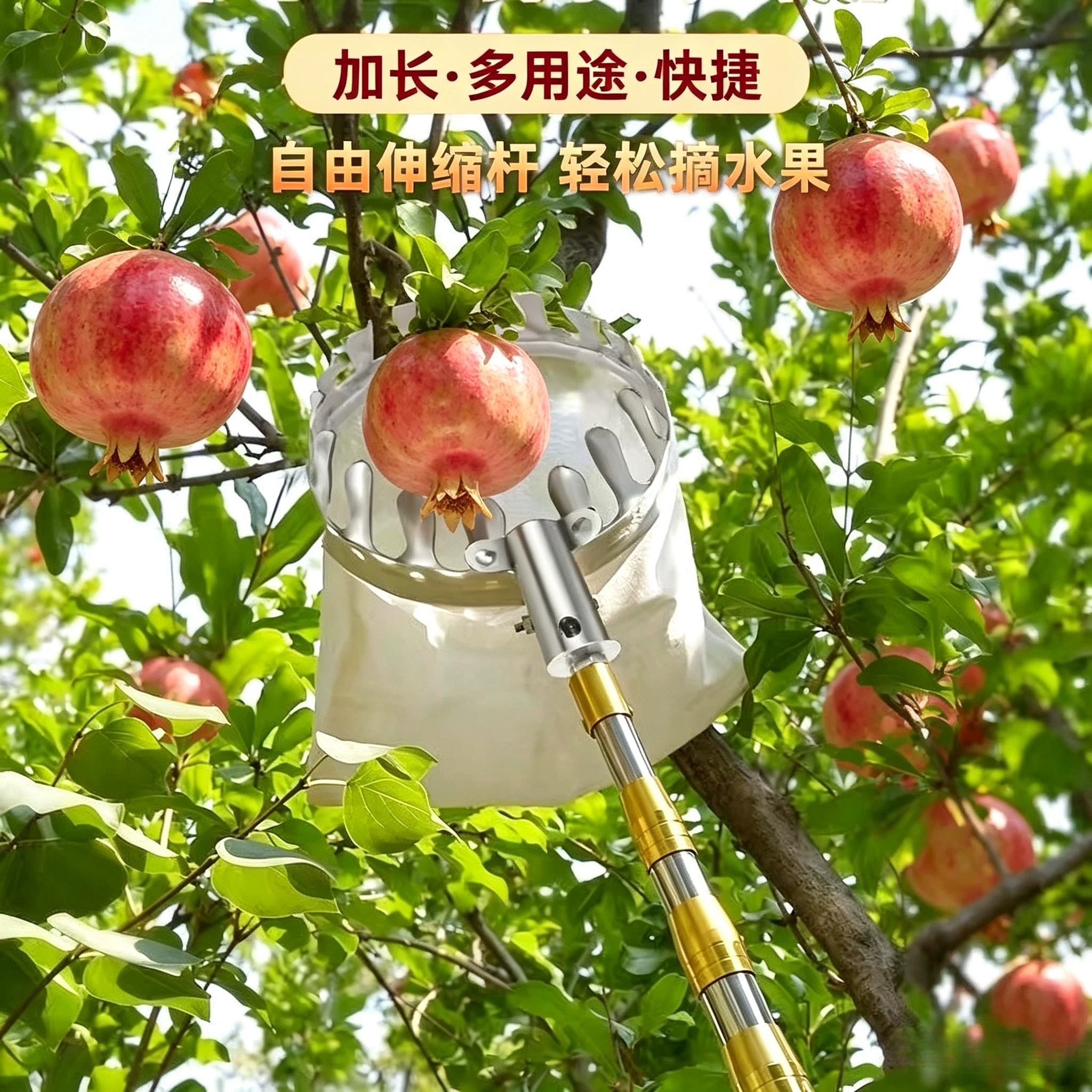 伸缩杆不锈钢抄网摘果杆香椿钩子图片