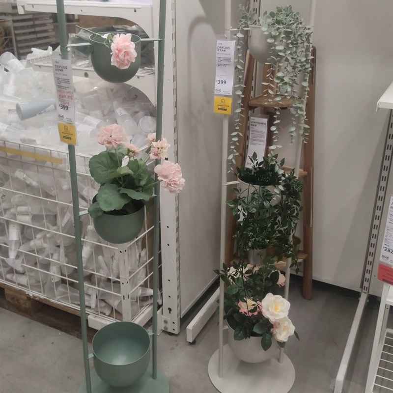 花架爬藤架月季支架杆室外铁艺鸟笼铁线莲藤架户外庭院阳台鸟架子