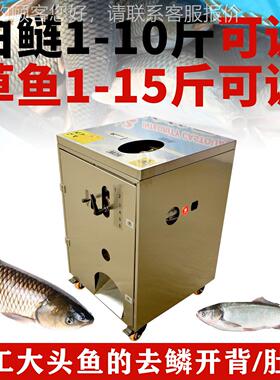 立式自动去鲢鳞背杀鱼机鱼草鱼黑鱼白鲈花鲢鱼开开肚TLD机商用去