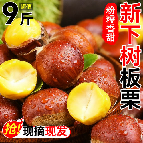 【2025新鲜板栗TOP榜】软糯香甜