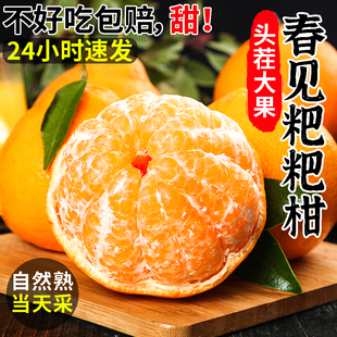 正宗四川春见耙耙柑10斤新鲜水果当季整箱丑八怪橘子特级粑粑柑桔