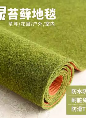 苔藓地毯户外草地花园大面积全铺绿色地垫阳台客厅卧室门口脚垫子