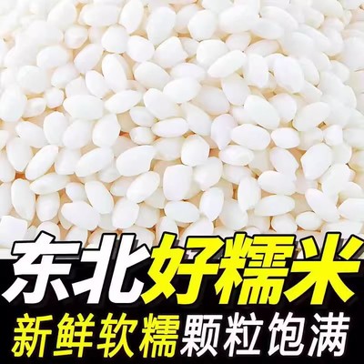 圆粒纯糯米粘大米五谷白江米黏米包粽子珍珠糙米籼米糯米饭粽子糯