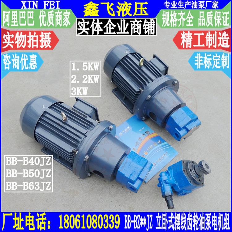 BB-B40JZ B50JZ B63JZ立卧式摆线齿轮油泵电机组2.2KW YE2100L1-4