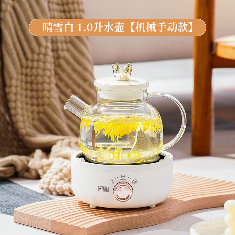 多功能养生壶办公室家用煎药壶玻璃煮茶烧水壶年会礼品