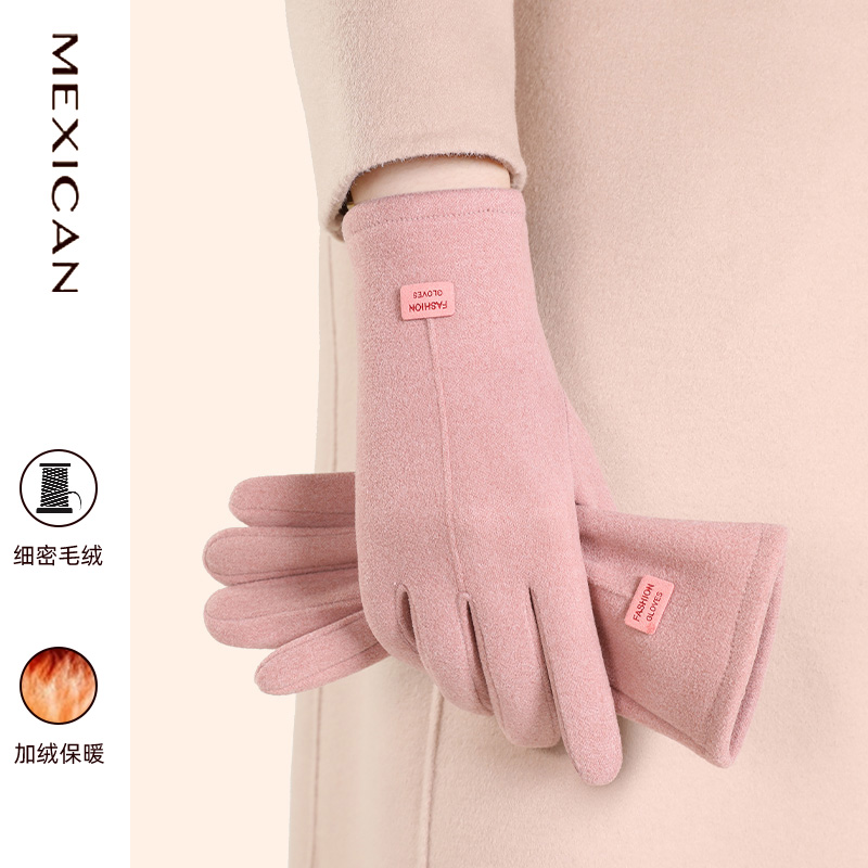 冬季手套女士2025新款骑行电动车保暖手套防风防寒可触屏加厚加绒