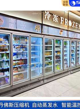 YZS商用低冷冻-22℃展示柜冷商超利店立式冷柜冰淇淋温榴莲保鲜便