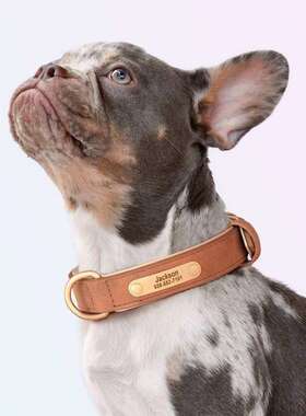 狗项圈刻质字狗脖圈中犬法WDC131-1型斗拉狗布拉多双层皮牌狗圈脖