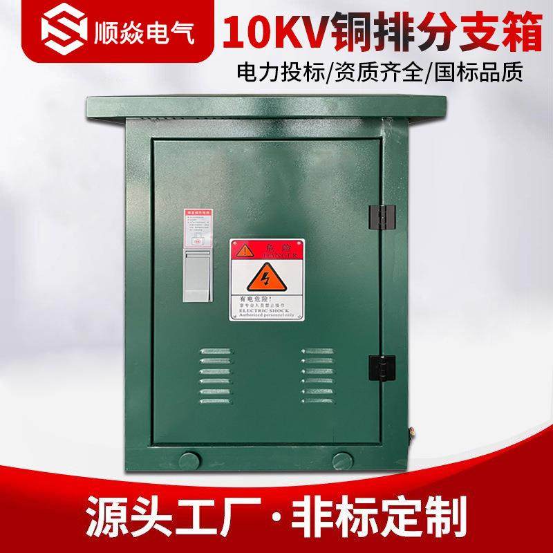 10KV高压电缆分支箱箱FW欧式35kv铜排分线箱不锈钢材质一进二出,五金/工具,特种电缆,淘宝优惠券,粉丝福利购,淘宝优惠卷