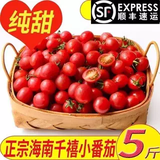海南千禧果5斤小番茄新鲜水果圣女果玲珑小西红柿孕妇电白当季w,水产肉类/新鲜蔬果/熟食,番茄,淘宝优惠券,粉丝福利购,淘宝优惠卷