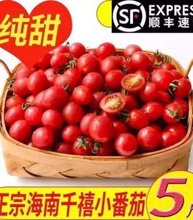 海南千禧果5斤小番茄新鲜水果圣女果玲珑小西红柿孕妇电白当季w