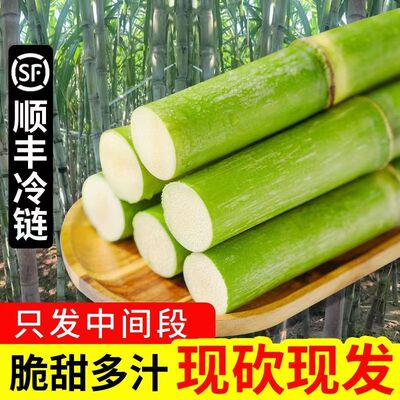 小甘蔗现砍中段青皮甘蔗