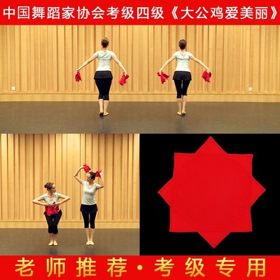 语泽舞韵坊舞蹈手绢考级专用