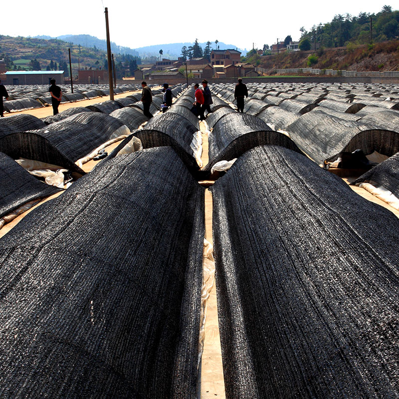 遮阳网防晒网遮光网加密加厚遮阴网隔热网防老化太阳黑网大棚户外