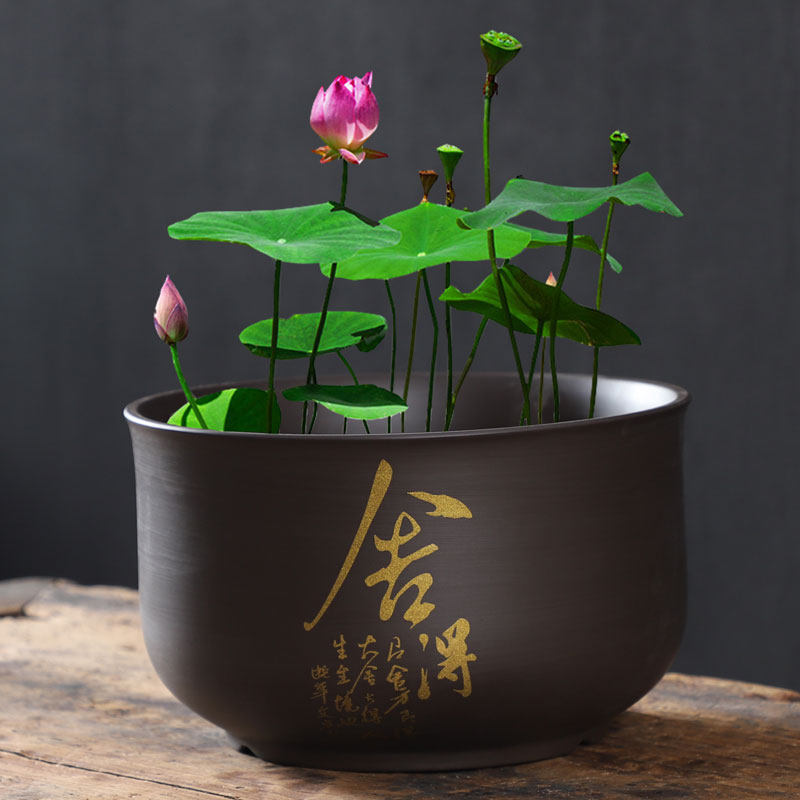 荷花缸莲花专用陶瓷紫砂大号水培铜钱草花盆无孔水养睡莲碗莲盆缸