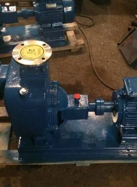 铸铁材质50ZW20-15自吸排污泵