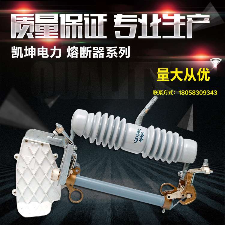 专业厂家生产NCX-12/100A熔断器高压跌落式熔断器