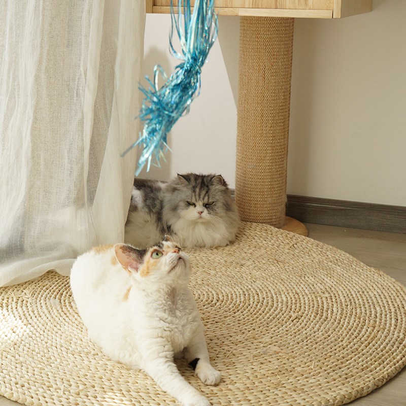 流苏四色仙女逗猫棒全猫无害塑料彩带英短长毛猫咪专用 实惠 轻便