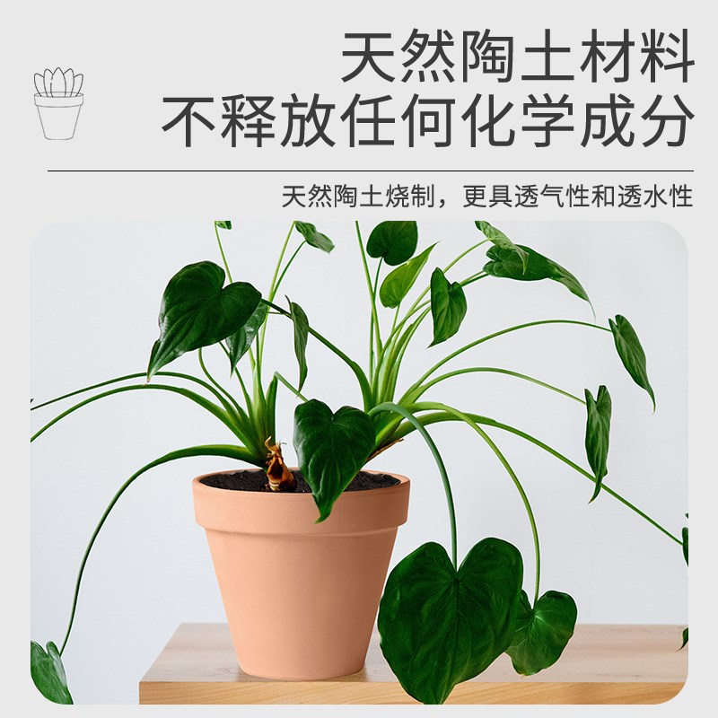 DEROMA帝罗马国际陶土盆多肉花卉绿植落地阳台红陶盆家庭园艺花盆