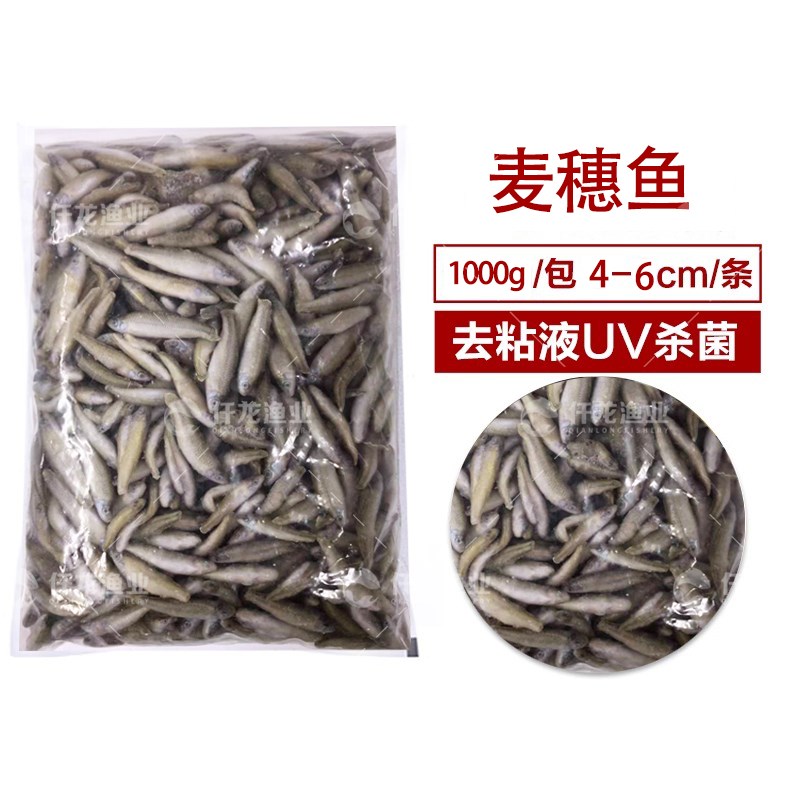 新鲜去枪去尾小河虾冷冻青虾白对虾虾段泥鳅龙虎魟鱼饲料鱼食宠物