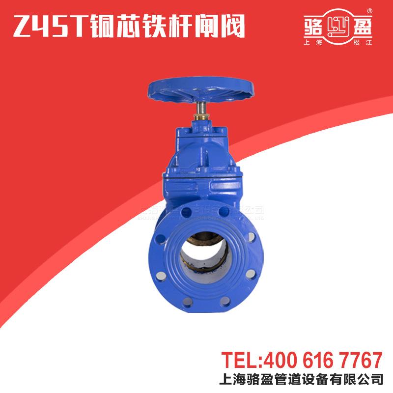 铜芯铁杆防护闸阀 Z45T暗杆人防硬密封闸阀 DN100消防阀门