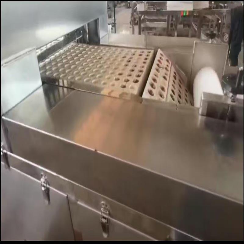 厂家樱桃荔枝龙眼去核机不锈钢油柑子青梅杨梅捅核机去核设备