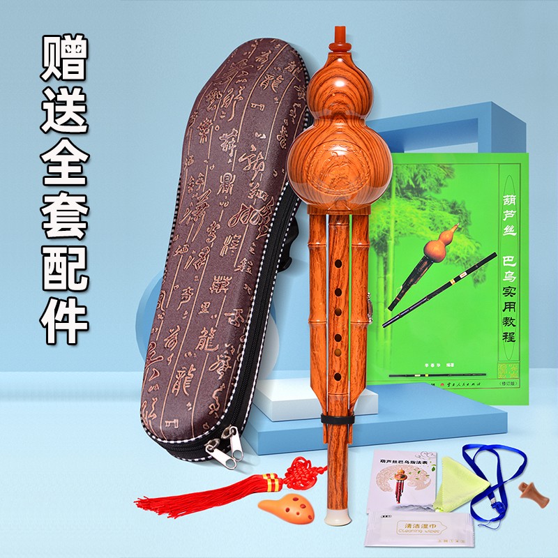 葫芦丝初学者小学生c调成人降B调入门自学专业演奏型云南雅的乐器
